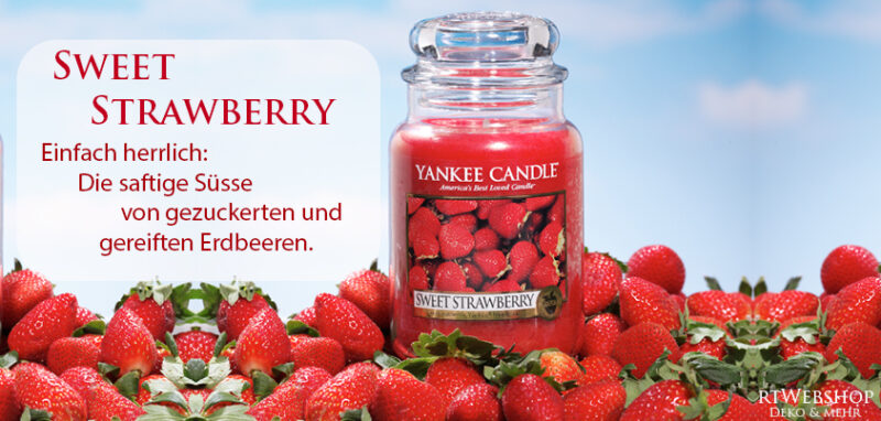   Einfach herrlich: Die saftige Süsse von perfekt gereiften wilden Erdbeeren.